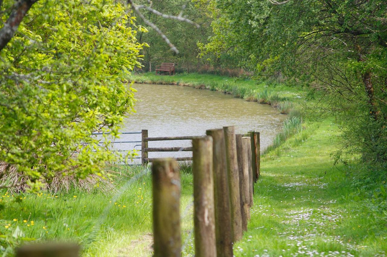 Leworthy Farmhouse Bed And Breakfast Holsworthy Eksteriør bilde